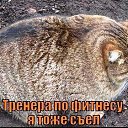 ���� ������, ������ - ��������� 25 ������� 2016 � ������ ������ ��������