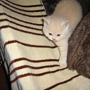 ���� ������, �����-���������, 70 ��� - ��������� 4 ������ 2015 � ������ ����� �����