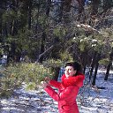  , --, 41  -  4  2016    