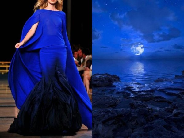 Fashion & Nature. Stephane Rolland Haute Couture