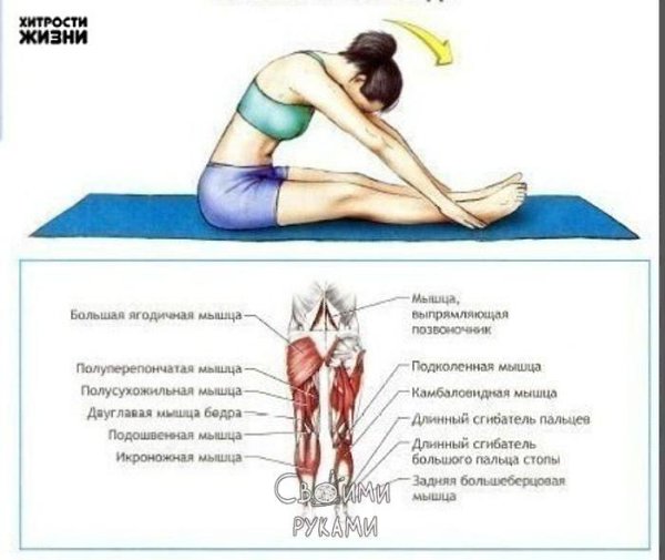 Мечтаешь сесть на шпагат? Сохрани себе инструкцию по растяжке! - 5