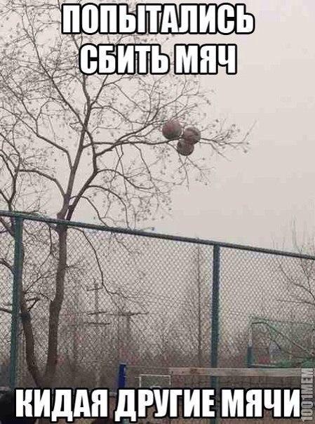 ������������ - 14 ������� 2016 � 16:33