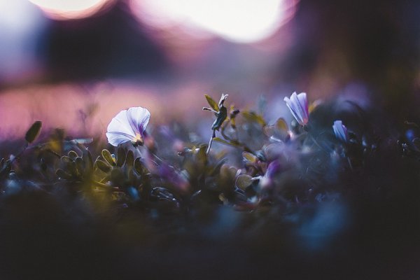 : [id1442067| ] - 6