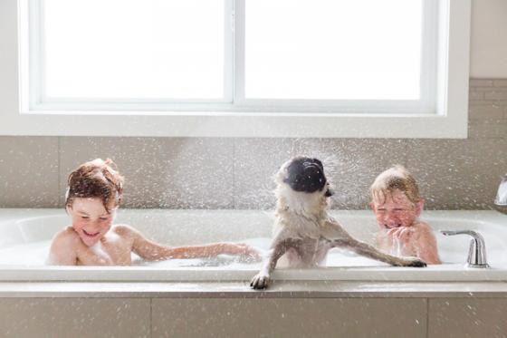 Ремонтник МОСКВА - 15 декабря 2015 в 16:20