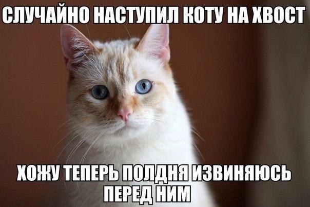    - 1  2016  18:18