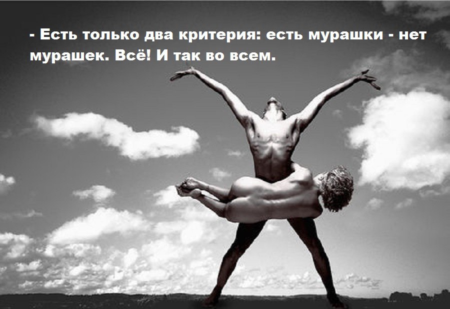   - 10  2016  02:31