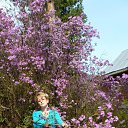 ���� �����, �����-�������, 56 ��� - ��������� 6 ������ 2015 � ������ ���� ����������