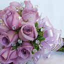 ���� ������, ������ ����� - ��������� 23 ������ 2015 � ������ �������� ��������