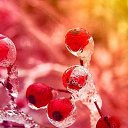 ���� �������, ����-��� - ��������� 23 ������ 2016 � ������ ���� ����������