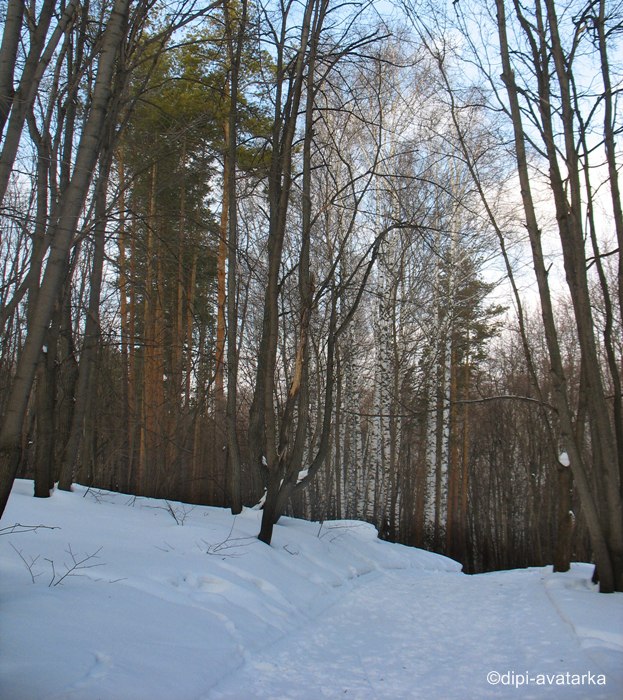 dipi-avatarka - 22 февраля 2016 в 17:21