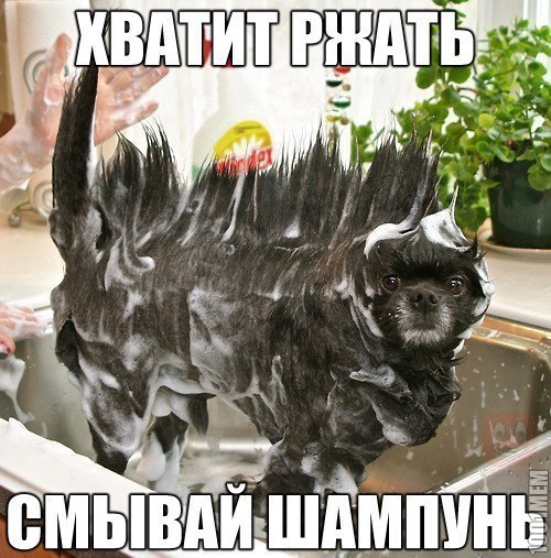 ? ,  ! - 12  2015  15:24