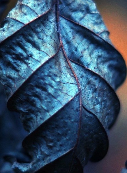 ����� ���� �����.. - 3 ����� 2016 � 22:53