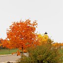 ���� �����, �����, 64 ���� - ��������� 9 ������ 2015 � ������ ��������� ����. 25.10.2015�