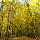 ���� ������, �����������, 68 ��� - ��������� 30 �������� 2015 � ������ ���� ����������