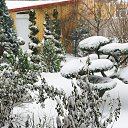 ���� �����, ��������, 51 ��� - ��������� 30 ������ 2016 � ������ �����