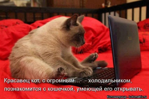  - 23  2015  18:04
