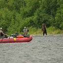 �������� 2012 �� ������� ���� ����������