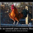���� �����, ������ �����, 46 ��� - ��������� 9 ������� 2015 � ������ ������ ��������