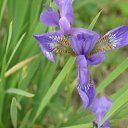 ���� �������, ��������, 66 ��� - ��������� 24 ������� 2015 � ������ ���� ����������