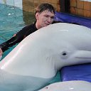 ���� �����, �����-��������� - ��������� 20 ������� 2016