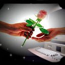 ���� ��������, ��������, 67 ��� - ��������� 24 ������ 2016 � ������ ���������