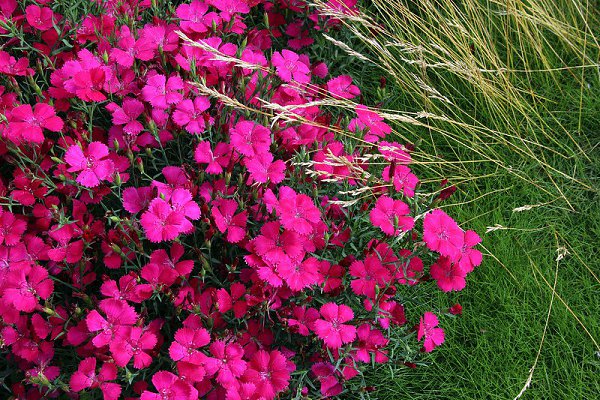 �������� �������! - 27 ������� 2016 � 22:58