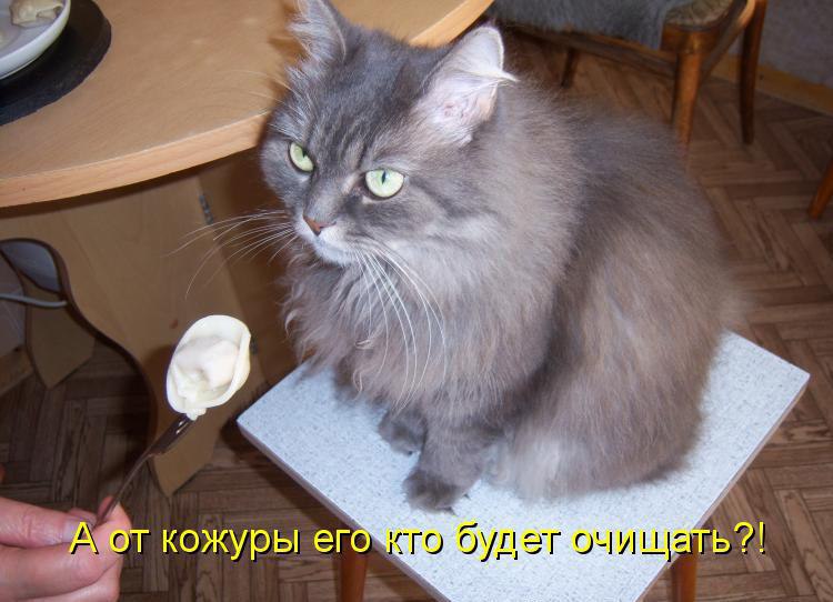       - 23  2015  11:35