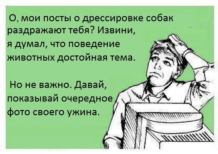  - 13  2015  00:16