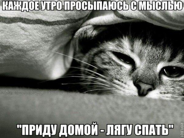 ������� ����� - 15 ������� 2016 � 07:08