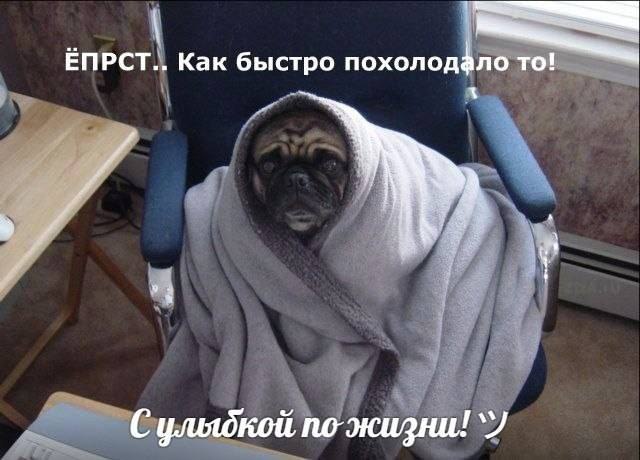 - ,    ? -   ... , ,  ,  ...