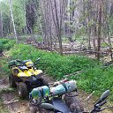 ���� ������, ����������-���������, 44 ���� - ��������� 31 ������� 2015 � ������ ����������