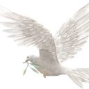 ���� �����!!������� ������, ������������ - ��������� 13 ������ 2015 � ������ ������ ��������