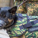  Alexandr,  -  23  2016   