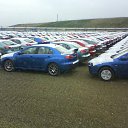 ���� Deniss, ������, 38 ��� - ��������� 6 ������� 2016 � ������ �8�