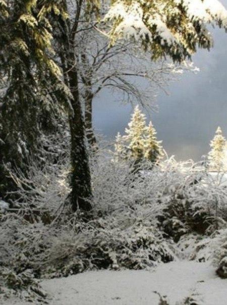   - 8  2015  09:33 - 5