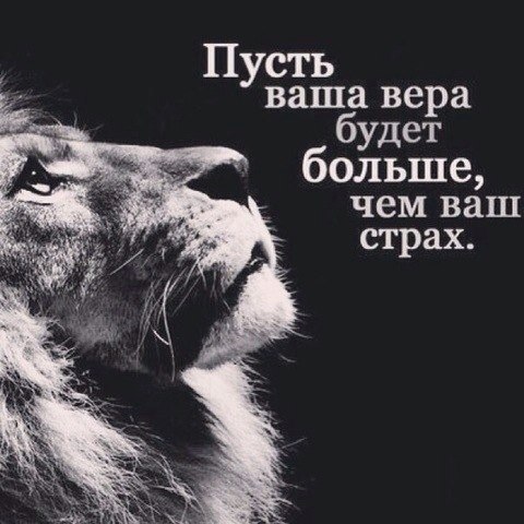  -   - 19  2015  09:07
