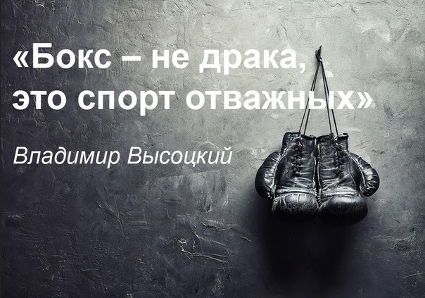  -   - 22  2016  16:43