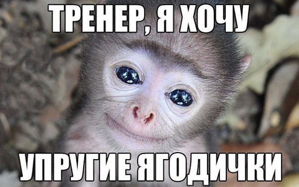  | , ,  - 21  2015  17:22