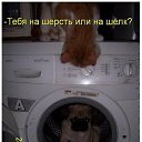 ���� �argo, ������� - ��������� 28 ������ 2015 � ������ ������ ��������