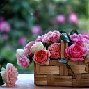 ���� ����, ������, 44 ���� - ��������� 2 ������� 2015 � ������ ���� ����������