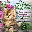 ���� ������, ��������, 72 ���� - ��������� 8 ������ 2015 � ������ ���� ����������