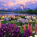 ���� ���������, ������ - ��������� 14 ������� 2015 � ������ �����