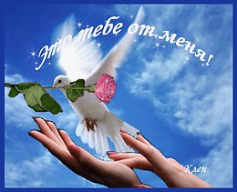 Однажды ты не сможешь без меня….И тихо плача, душу разрывая.Ты вдруг поймешь, что сам убил себя.Меня ...