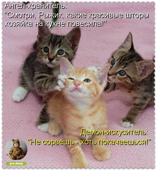 Враги - это полезные люди, которые создают для тебя беды, в которых познаются друзья.