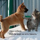 ���� �����, ������, 36 ��� - ��������� 26 ������� 2015 � ������ ���� ����������