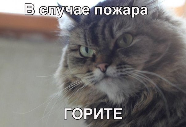       - 16  2015  23:55
