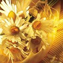���� Ani, ������ - ��������� 22 ������� 2015 � ������ ������...�
