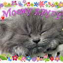 ���� �����gold, ������ - ��������� 8 ����� 2016 � ������ �������� ��������