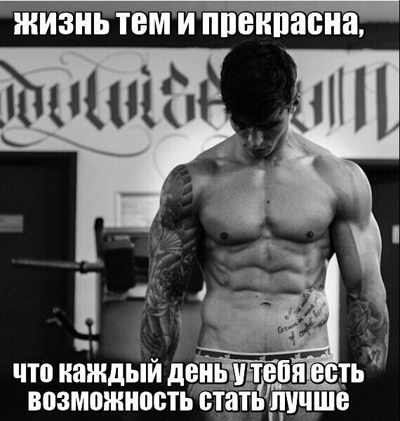  -   - 13  2016  08:33