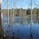 ���� ����, ���������, 79 ��� - ��������� 22 ������� 2015 � ������ ���� ����������